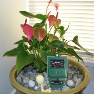 AEK-Tech Toprak Nem PH ve Işık Ölçer 3'ü bir arada - 6