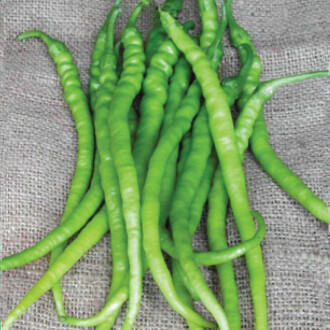 Hot Pepper Seed 5 gram