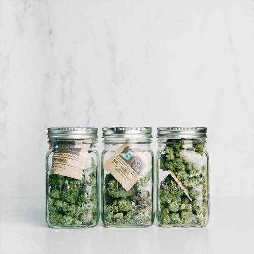 BOVEDA %62 8gr Kapalı Paket Puro Nemlendirici 4'lü Paket - 7