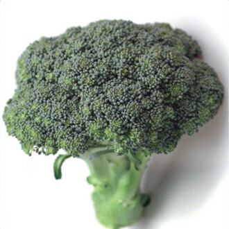 Broccoli Seed 200 Seeds