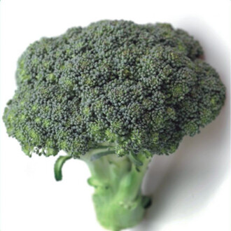 Broccoli Seed 200 Seeds