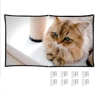 BYINTEK 100 inç 16:9 Taşınabilir Katlanır İç/Dış Mekan Projeksiyon Fim Perdesi - 3