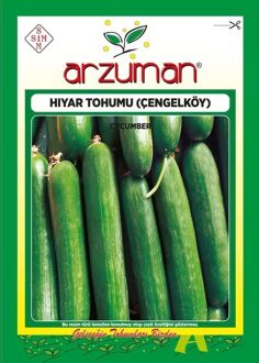 Arzuman Çengelköy Type Cucumber Seeds 10 g