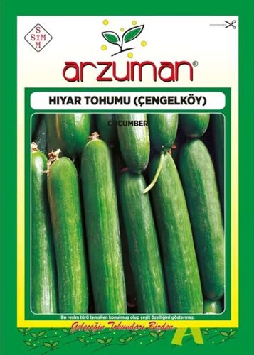 Çengelköy Tipi Hıyar Tohumu 10 Gr - 1