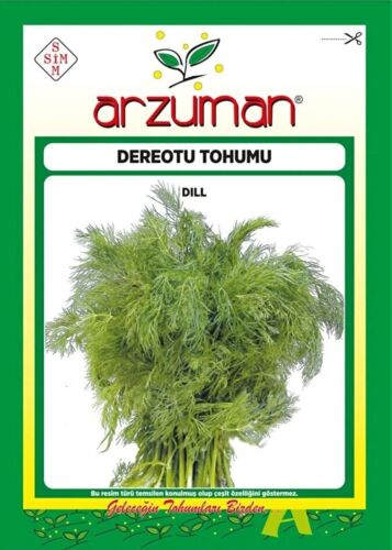 Derem Dereotu Tohumu 25 Gr - 1