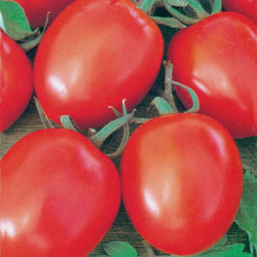 DOMATES Tohumu Yerli RİO GRANDE 3 gram - 1