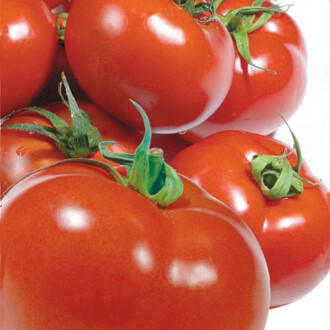 DOMATES Tohumu Yerli SC-2121 3 gram 