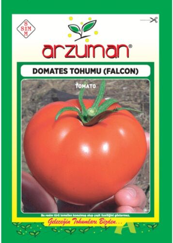 Falcon Domates Tohumu 5 Gr - 1