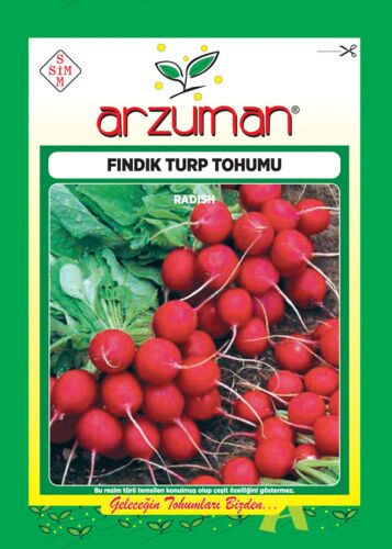 Fındık Turp Tohumu 25 Gr - 1