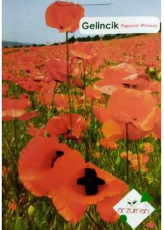 Arzuman Poppy Seeds (Papaver Rhoeas) 50 pcs