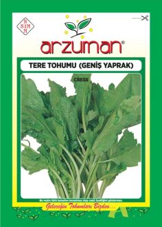 Helen Tere Tohumu Geniş Yaprak 25 Gr 