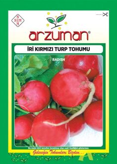 İri Kirmizi Turp Tohumu 25 Gr - 1