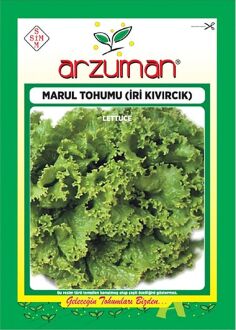 İri Kıvırcık Marul Tohumu 10 Gr 
