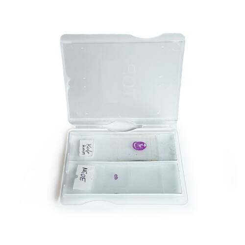 ISOLAB Lam Taşıma Kutusu 2 Lam - 4