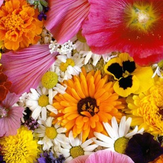 Arzuman - Karışık Çiçekler Tohumu Yerli 50 adet