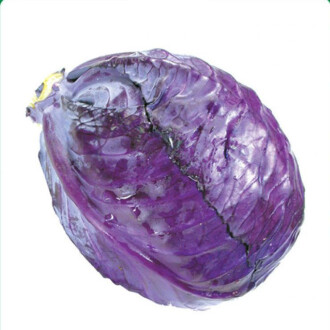 KIRMIZI LAHANA Tohumu Yerli 5 gram 