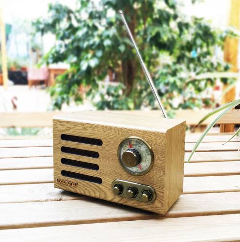 Looptone DSY-HR08 Retro Radyo Espresso - 8