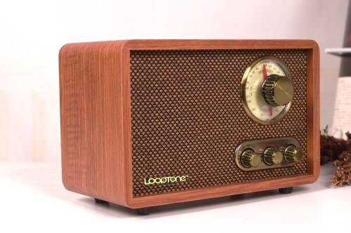 Looptone DSY-R08 Retro Radyo Ceviz - 3