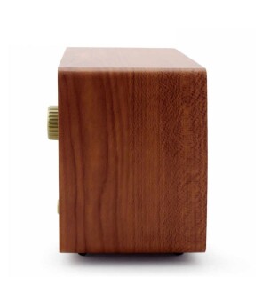 Looptone DSY-R08 Retro Radyo Ceviz - 6