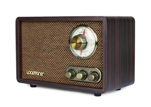 Looptone DSY-R08 Retro Radyo Espresso - 2