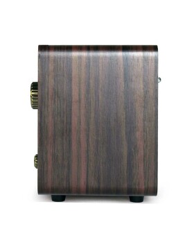 Looptone DSY-R08 Retro Radyo Espresso - 5