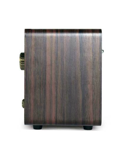 Looptone DSY-R08 Retro Radyo Espresso - 5