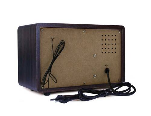 Looptone DSY-R08 Retro Radyo Espresso - 6