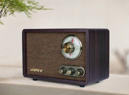 Looptone DSY-R08 Retro Radyo Espresso - 8