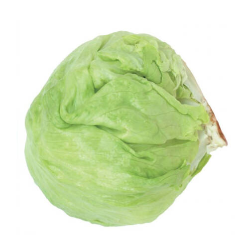 MARUL Tohumu ICEBERG 3 gram - 1