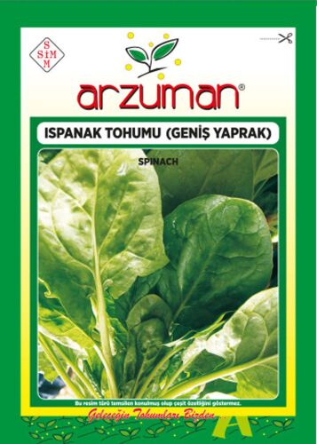 Matador (İthal) Ispanak Tohumu 25 Gr - 1