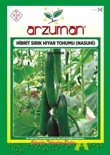 Nasuhi F1 (Sırık) Hibrit Hıyar Tohumu 10 Adet - 1