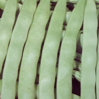 Öz Ayşe Sırık Fasulye Tohumu 50Gr - 2