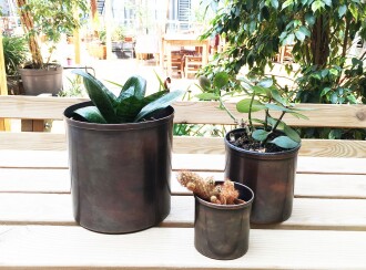 Shark Anatolia Bahar Saksı 3'lü Takım - 8