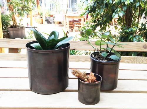 Shark Anatolia Bahar Saksı 3'lü Takım - 8