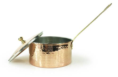 Shark Anatolia Dalyan El Dövmesi Bakır Kapaklı Sosluk 14cm - 5