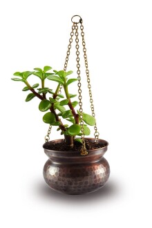 Copper Hanging Flower Pot Hand Hammered 17 cm / 6.6 inches