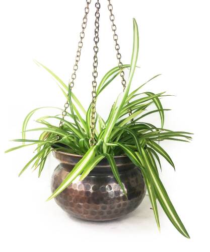 Copper Hanging Flower Pot Hand Hammered 17 cm / 6.6 inches - 7