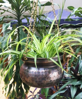 Copper Hanging Flower Pot Hand Hammered 17 cm / 6.6 inches - 8