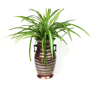 Shark Anatolia Sümbüllü Bakır Kulplu Vazo Oksit - 8