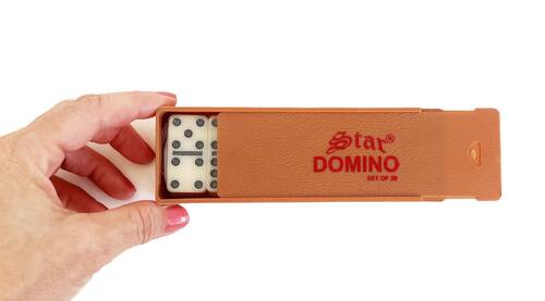 Star Plastik Kutulu Domino Seti