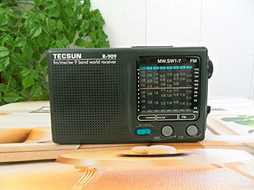 Tecsun R-909 Dünya Radyosu AM/FM/SW - 8