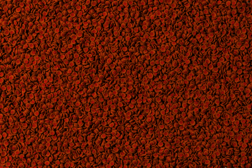 Tetra Cory Shrimp Wafers Dip Balık Yemi - 100ML - 2