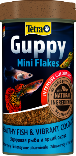 Tetra Guppy Lepistes Balık Yemi - 100ML Canlı Doğuran İçin Pul Yem - 2