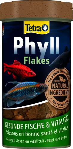 Tetra Phyll Flakes Bitkisel Dengeli Pul Yem - 100ML - 3