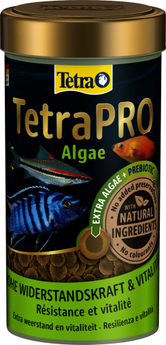 Tetra Pro Algae Bitkisel Balık Yemi - 100ML - 1