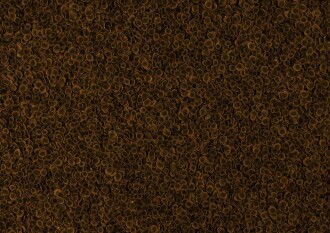 Tetra Pro Algae Bitkisel Balık Yemi - 100ML - 2