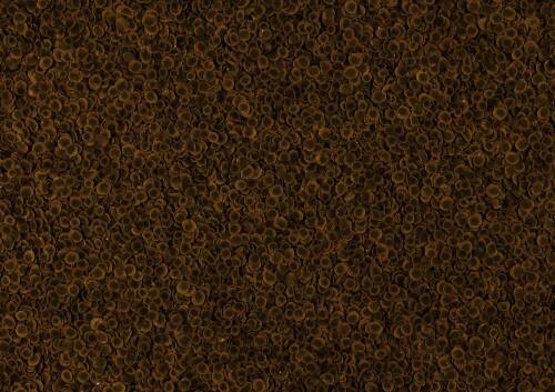 Tetra Pro Algae Bitkisel Balık Yemi - 100ML - 2