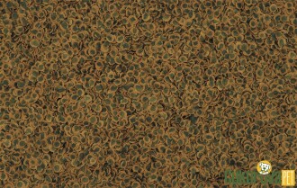 Tetra Pro Algae Crisps Otçul Balık Yemi - 12GR - 2