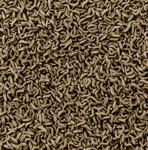 Tetra Reptomin Çubuk Kaplumbağa Yemi - 100ML - 2