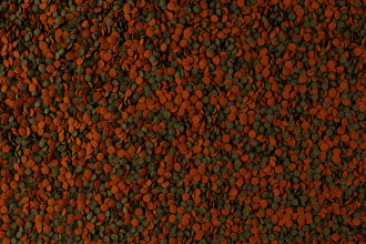 Tetra Wafermix Dip Balık ve Kabuklular için Yem - 100ML - 2